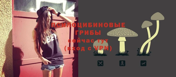 амфетамин Алексеевка