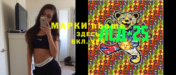 apvp Алзамай