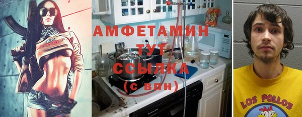 apvp Алзамай