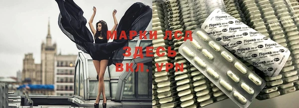 spice Аркадак
