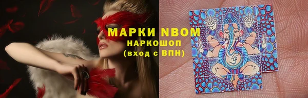 apvp Алзамай