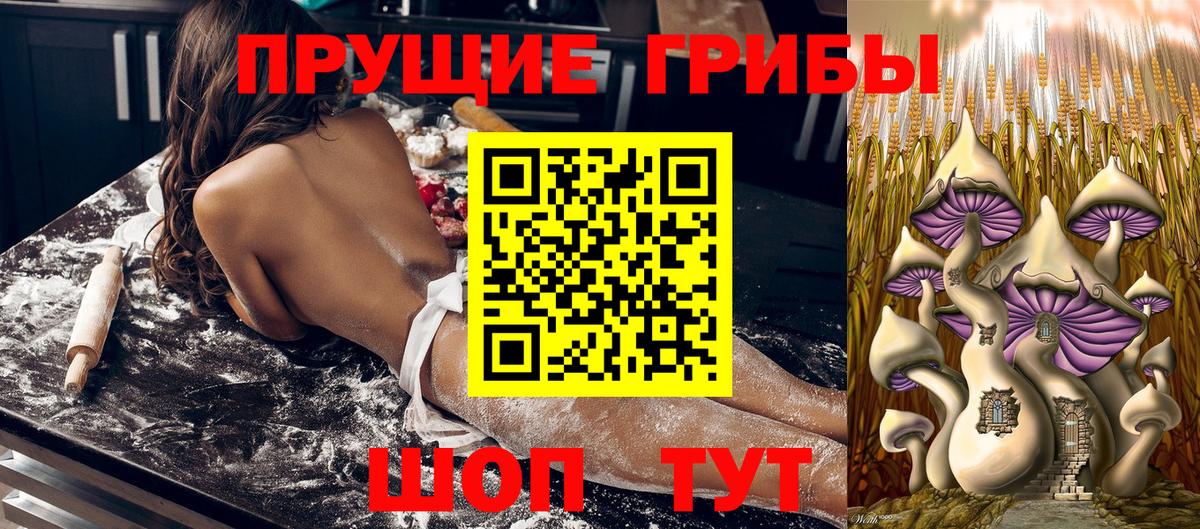 Псилоцибиновые грибы мухоморы Мытищи