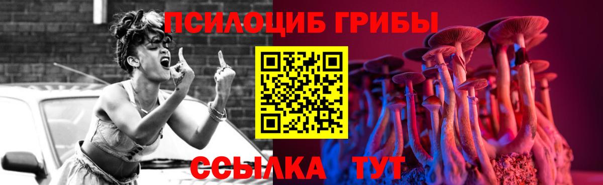 Мытищи  Галлюциногенные грибы прущие грибы  где купить   Вход с VPN 